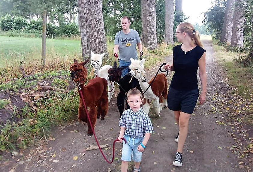 A tree in every garden, an alpaca on every walk | The Bulletin