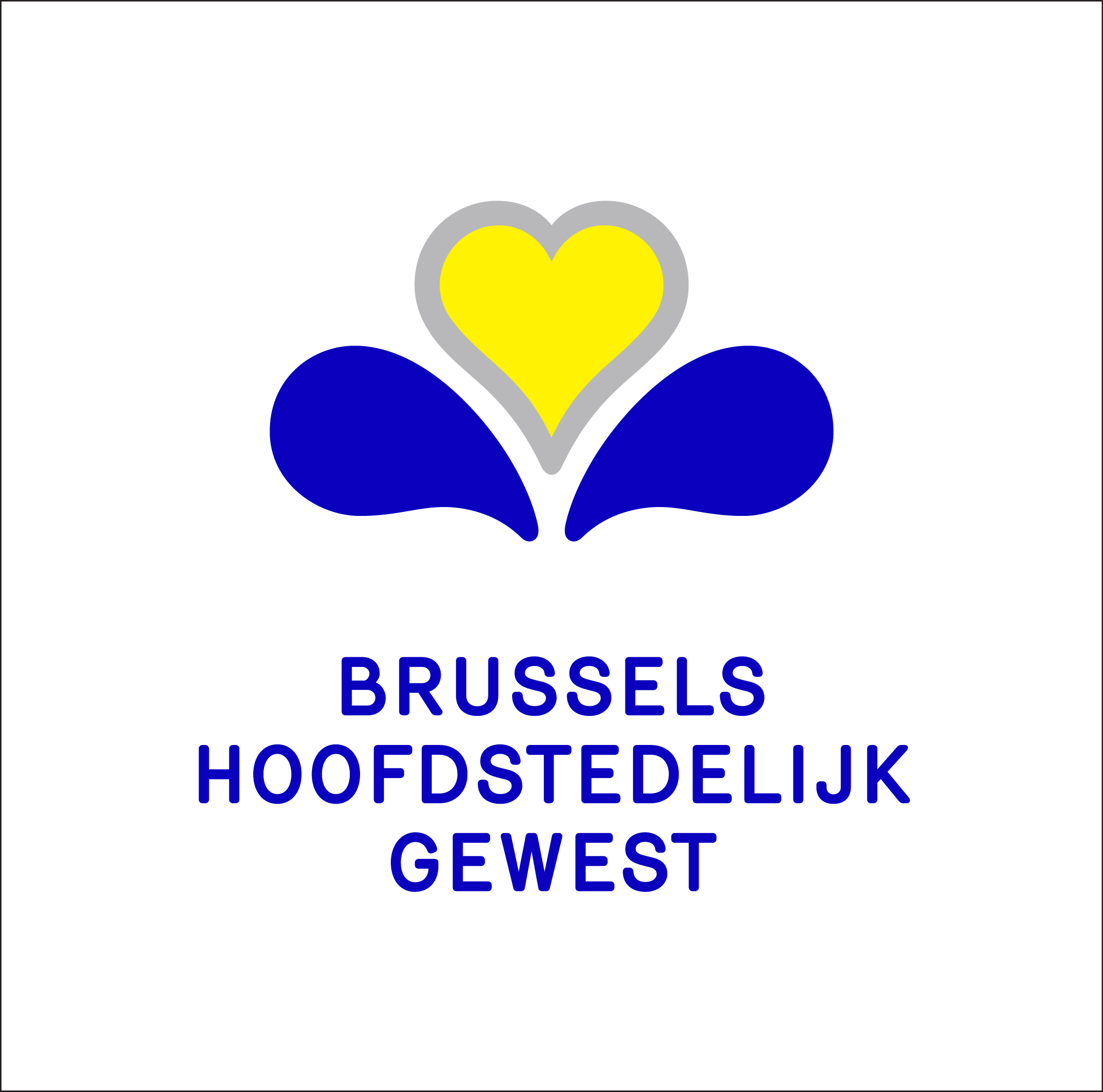 Brussels Capital Region Launches New Logo And Flag The Bulletin