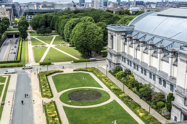 US embassy must protect nesting birds during Cinquantenaire party