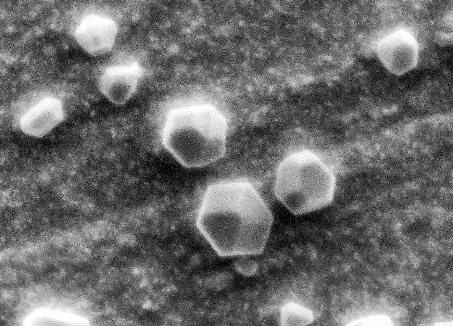 World’s smallest diamond developed at UHasselt The Bulletin