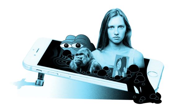 Right-wing content dominates social media feeds, finds new study