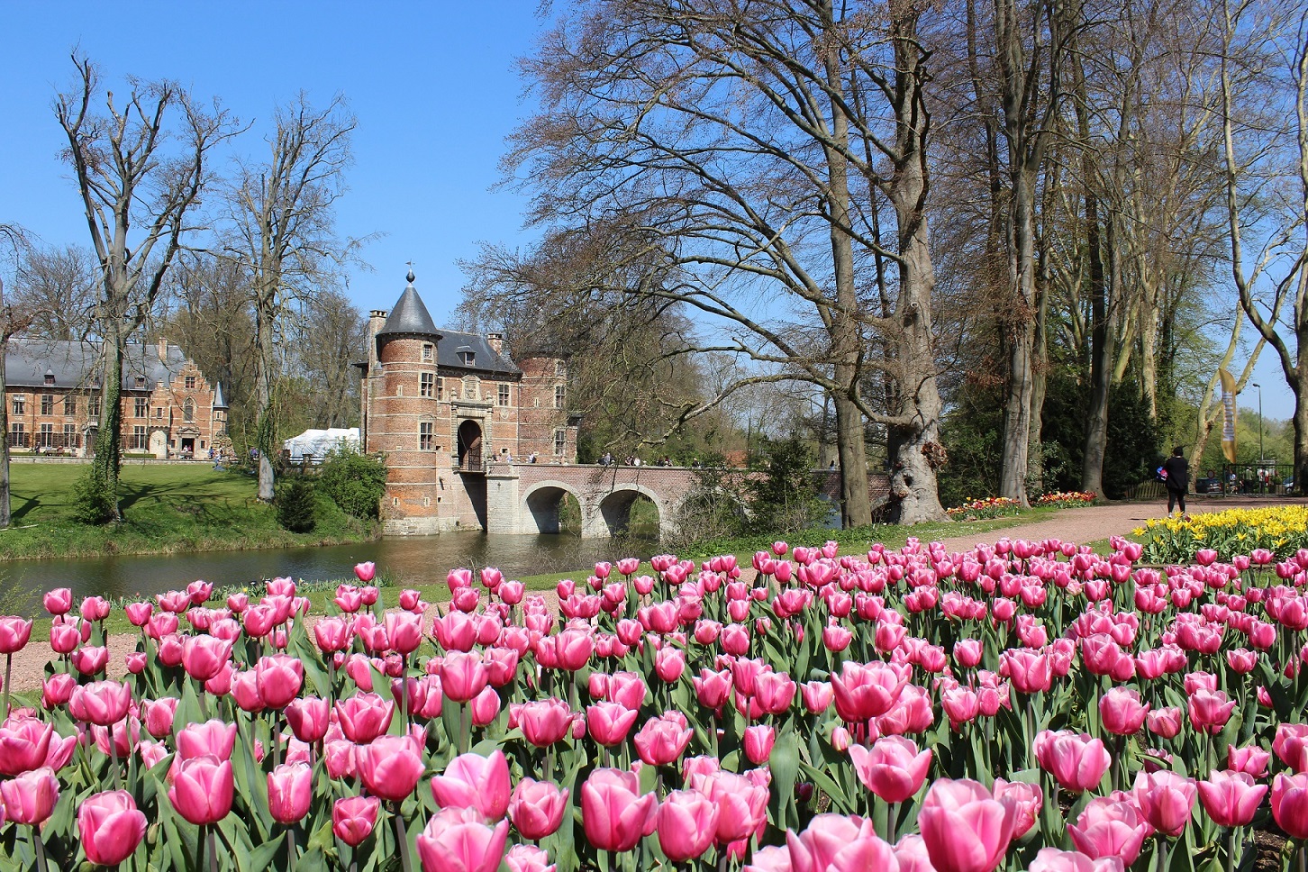 What's on this week: 9-15 April | The Bulletin - Vimarsana News