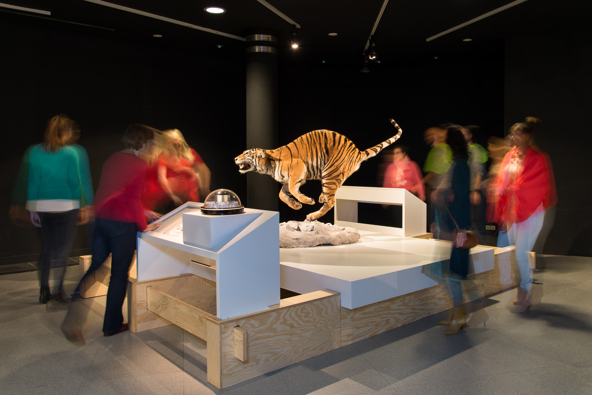 See wild animals in action at Natural Science Museum’s new exhibition