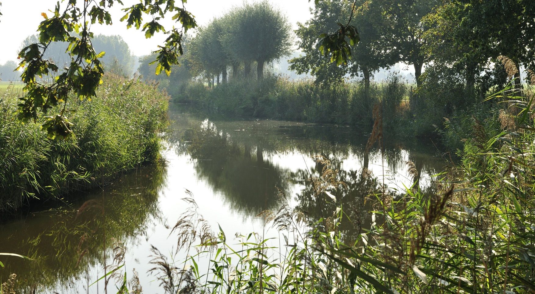 A waterway in Flanders