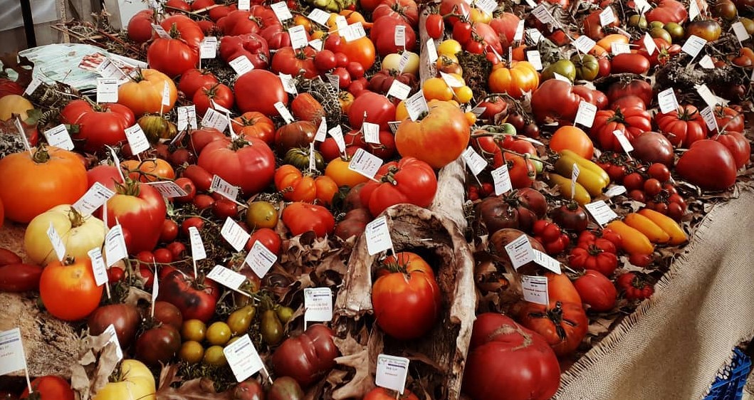 Brussels Tomato Festival