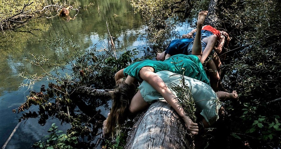 Day of dance Dancers fold themselves across a log