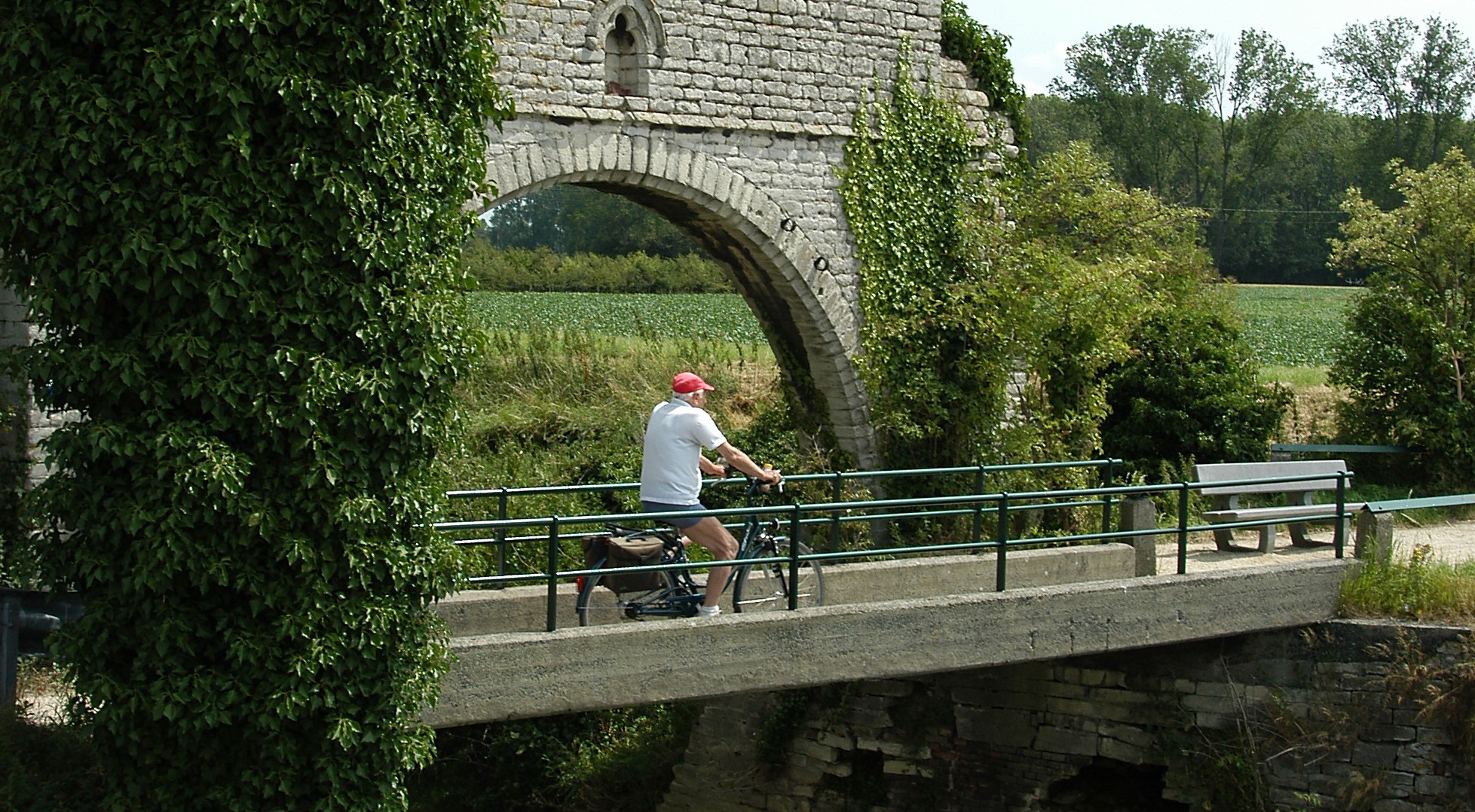 Man cycling the Belgian Endive Route