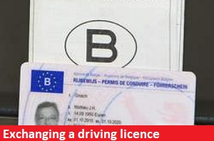 Exchanging a driving licence