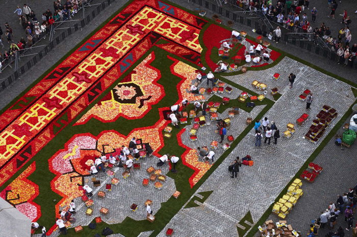 Flower Carpet