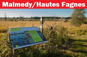 Malmedy/Hautes Fagnes