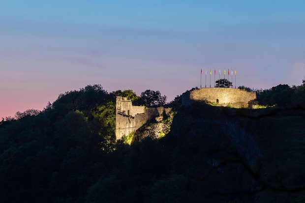 00086929-Domaine de Palogne-Château fort de Logne à Ferri��res