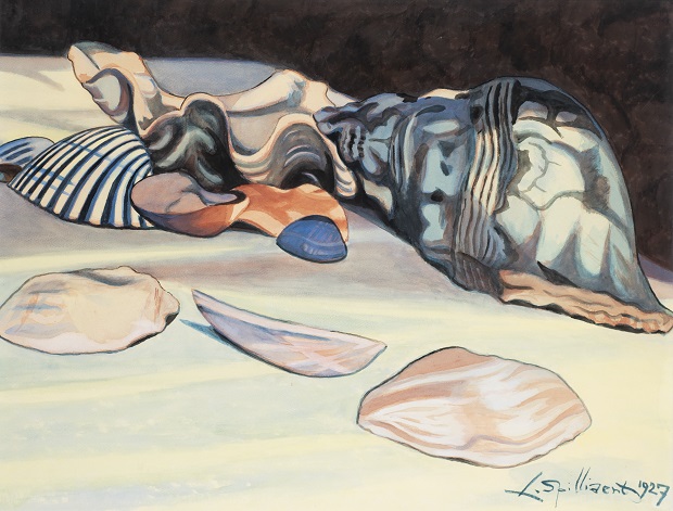 1927, Coquillages, 1927, Ren. Schro, 16.11. 2022