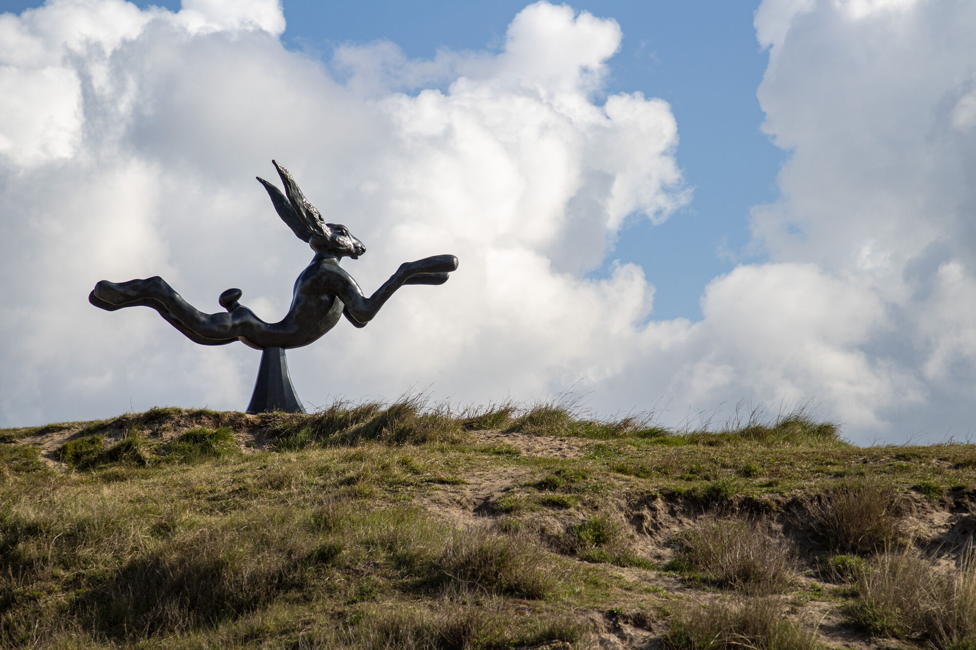 Leaping Hare Knokke-Heist