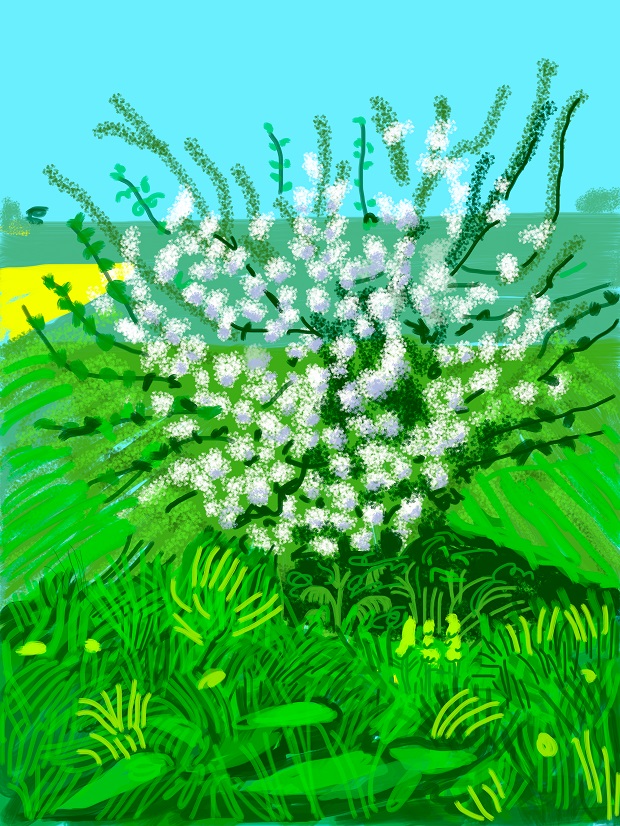 Hockney