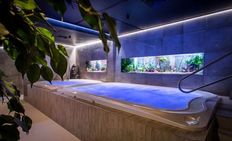 Aquaria_met_plant_Small- Dilbeek