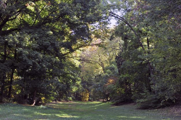 Arboretum-Tervuren-7439-scaled