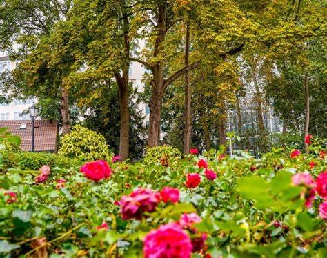 citizens_garden_euopean_parliament