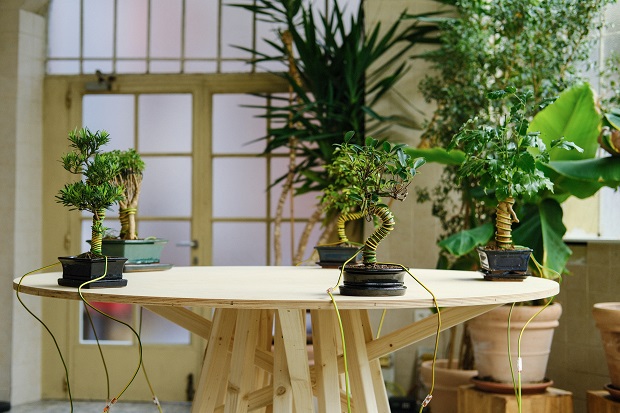 COM foto HEAR HERE installation shots Christina Kubisch — The Conference of the Trees  © Joeri Thiry STUK-12