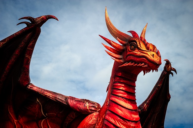 dragons_of_the_north_cjonas_verhulst