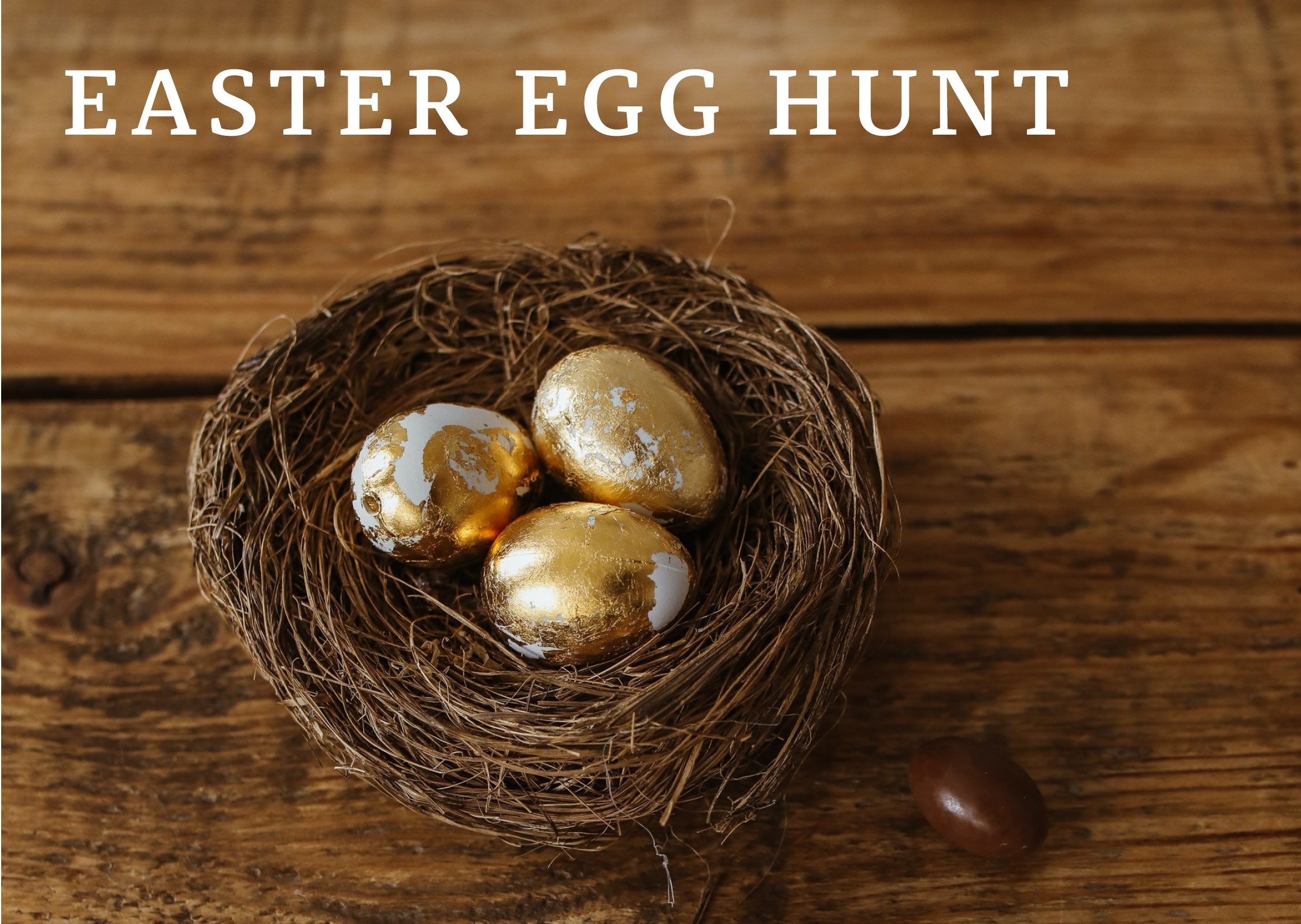 Easter egg hunt Indigo Hotel