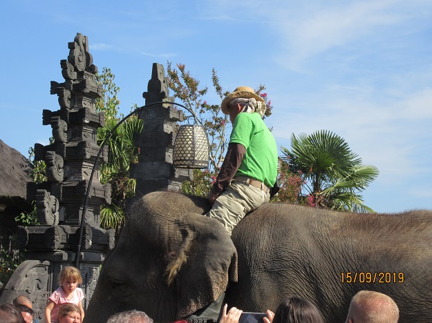 Pairi Daiza elephant
