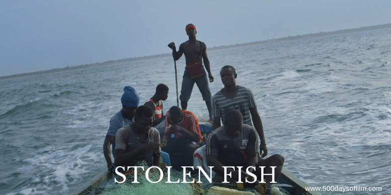 Stolen Fish