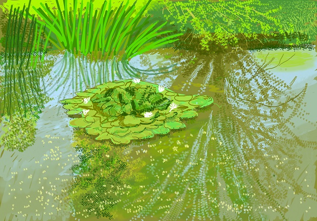 iPad painting by David Hockney