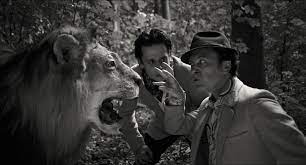 Le Lion