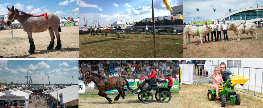 Libramont agricultural fair