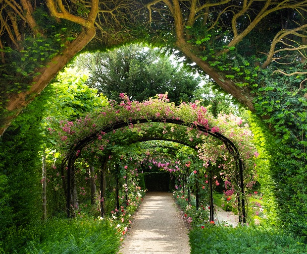 pergola