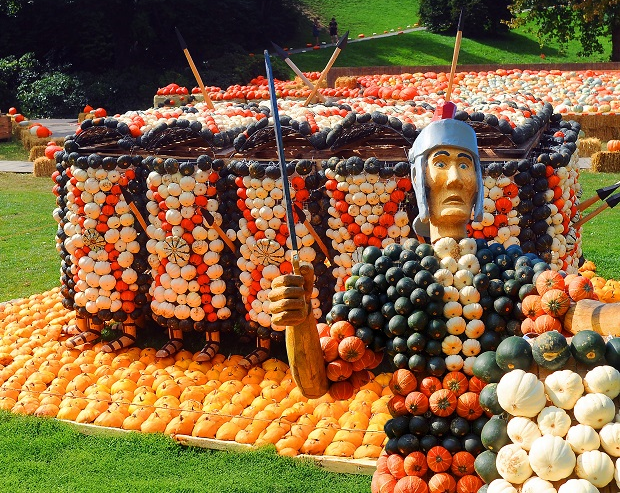 pumpkin