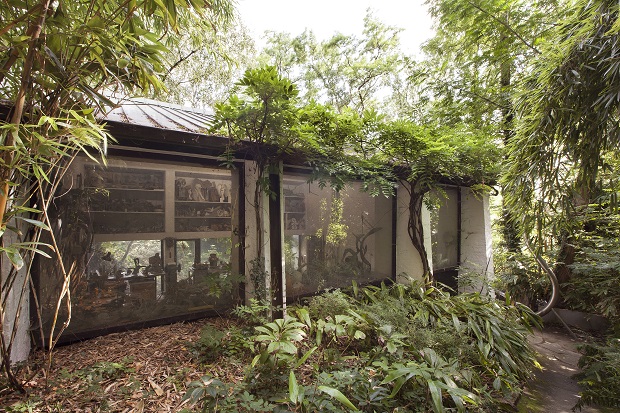 Strebelle garden studio