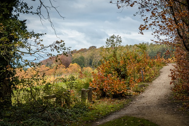 The Speelberg Walk©Lander Loeckx