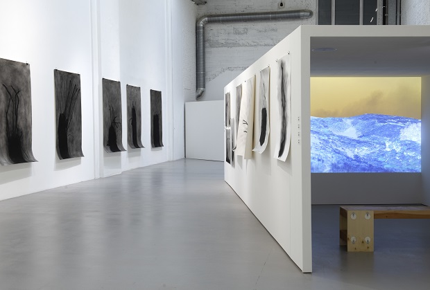 View_of_the_show-la_friche_la_galaxieMichel_Couturier-Centrale-2025cPhilippe_De_Gobert-9459