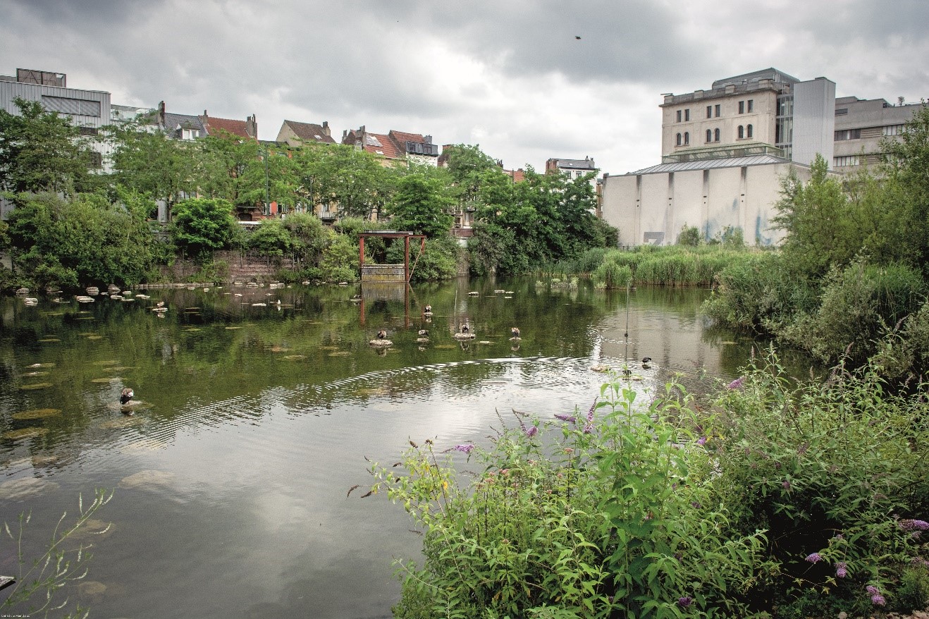 Water Days Brussels Environment