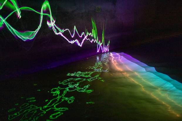 What’s on this week: 6 to 12 February