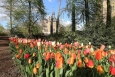 Floralia - Groot-Bijgaarden castle - Belgium