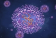 Monkeypox virus - Science Library Photo