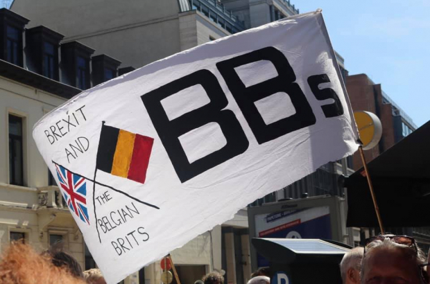 Brexit demonstration Brexit and the Belgian Brits