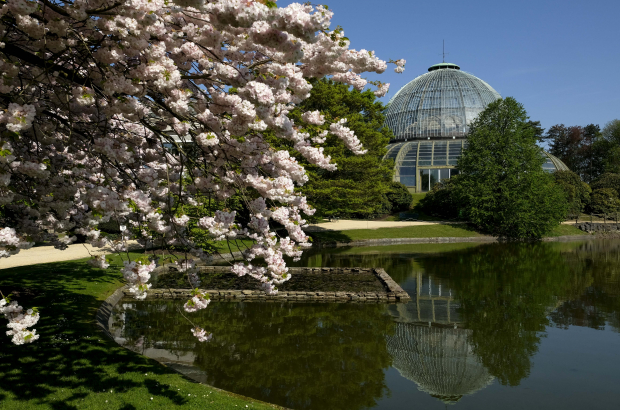 A view of the Royal Greenhouses from the Royal Park in Laeken, Brussels (BELGA PHOTO)