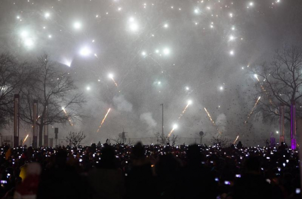 Brussels New Year Belga