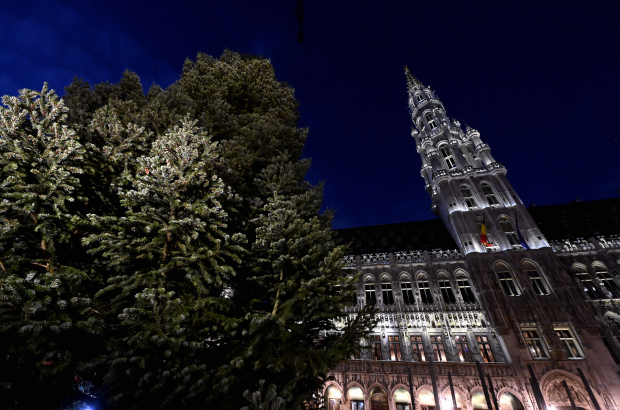 Workers install the Christmas tree on the Brussels Grand-Place - Grote Markt square in the Brussels historic city center, Thursday 19 November 2020. BELGA PHOTO ERIC LALMAND