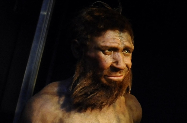 A reconstruction of the 'Man of Spy' at the Museum of Natural Sciences (Museum voor Natuurwetenschappen - Museum des Sciences Naturelles), in Brussels. The 'Man of Spy', discovered in 1886, is one of two Neanderthal skeletons found in a cave in Spy, one of the main sites concerning the proof of the existence of the Neanderthal species. (BELGA PHOTO BENOIT DOPPAGNE)