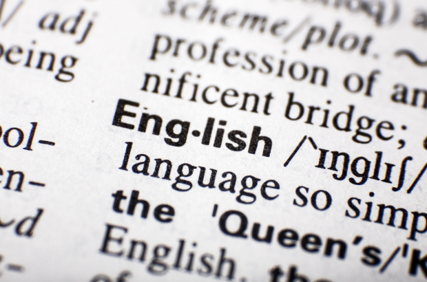 Illustration picture shows the word English in the Oxford English dictionary. (BELGA PHOTO SISKA GREMMELPREZ)