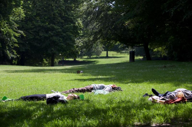 Bois de la Cambre Brussels