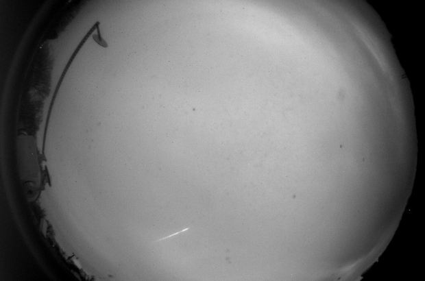 An image of the meteorite over Brussels taken from one of the cameras of the Fireball Recovery and Interplanetary Observation Network (FRIPON) (©Vigie-Ciel / Institut Royal d’Aéronomie Spatiale de Belgique) An image of the meteorite over Brussels taken from one of the cameras of the Fireball Recovery and Interplanetary Observation Network (FRIPON) (©Vigie-Ciel / Institut Royal d’Aéronomie Spatiale de Belgique)