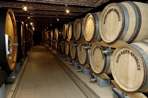 Brasserie Dubuisson - Bush de Nuits