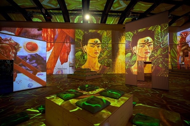 Viva Frida Kahlo - Immersive Experience