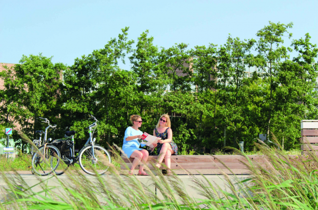 Groen Lint, Ostend (c) Westtoer