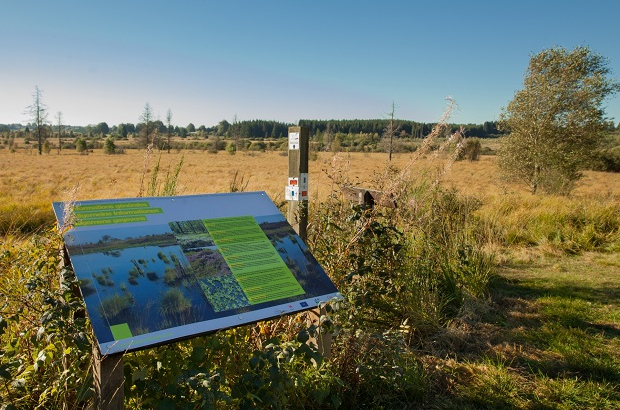 Hautes Fagnes Ostbelgien